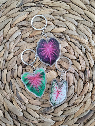 Planty Keychains Inspired Daisy Designs